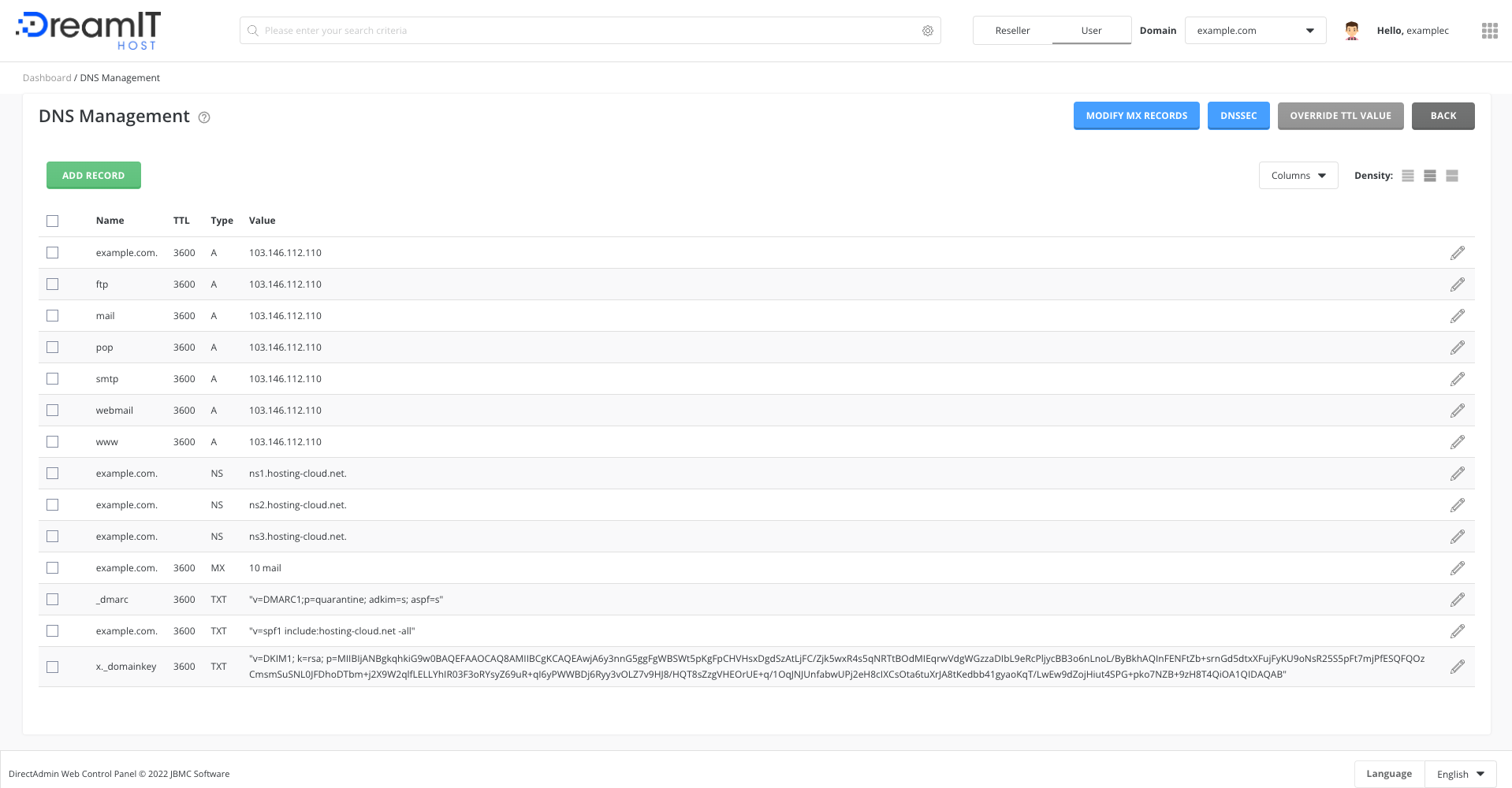 DirectAdmin: DNS Management