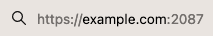 Address Bar with "example.com:2087"