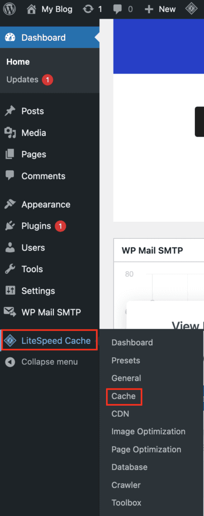 Screenshot: WordPress Panel Highlighting LiteSpeed Cache > Cache
